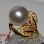 Mutiara Lombok Asli Cocok untuk Cincin Kawin