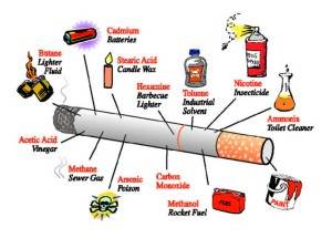 kandungan-pada-rokok Bebaskan Dunia dari Asap Rokok 1