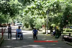 Disabilitas