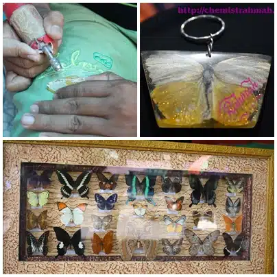 Bantimurung, I'm in Love