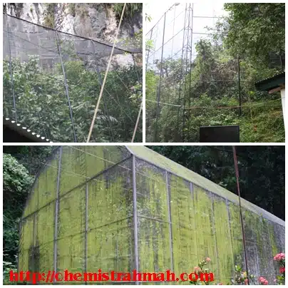 Bantimurung, Surga Kupu-Kupu Bantimurung, Surga Kupu-Kupu