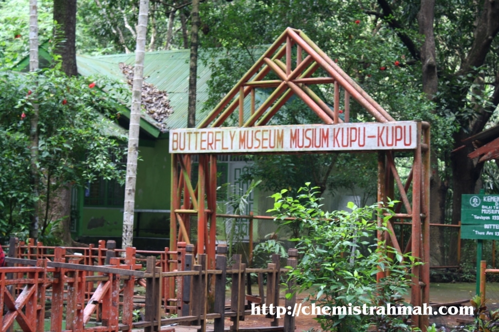 Bantimurung, Surga Kupu-Kupu Bantimurung, Surga Kupu-Kupu
