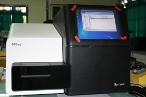 MiSeq Illumina MiSeq Illumina