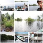 Catatan Backpacker: Taman Nasional Sebangau Catatan Backpacker: Taman Nasional Sebangau