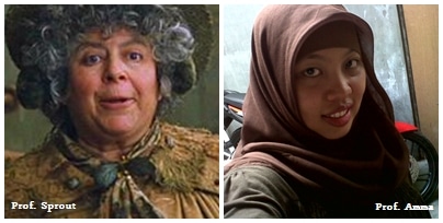 Harry Potter January Meme & Giveaway 2 Harry Potter Januari Meme & Giveaway