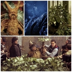 Harry Potter January Meme & Giveaway 3