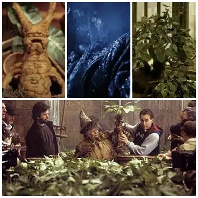 Harry Potter January Meme & Giveaway 3 Harry Potter January Meme & Giveaway