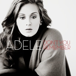 Tidakkah Kamu Ingat? Terjemahan Lagu Adele *Don’t You Remember* 1 Adele - Don't You Remember
