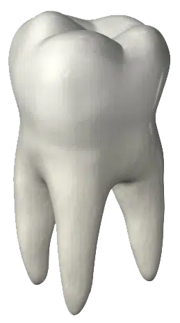EF #26: Going to Dentist for My Molar