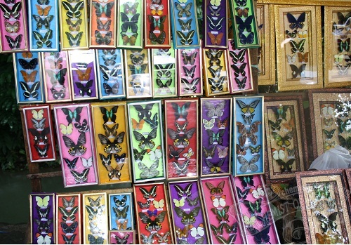 Bantimurung, Tempat Liburan Menarik 12 Souvenir Bantimurung