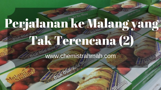 Perjalanan ke Malang yang Tak Terencana (2)