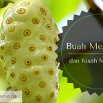 Buah Mengkudu dan Kisah Masa Lalu