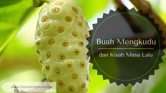 Buah Mengkudu dan Kisah Masa Lalu