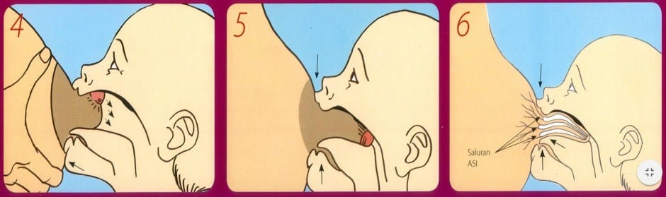 Philips AVENT New Parents Class Surabaya Semarakkan Pekan ASI Dunia 5 Posisi Pelekatan Mulut dan Puting Saat Menyusui 2