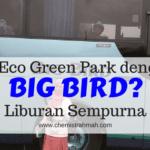 Ke Eco Green Park dengan Big Bird
