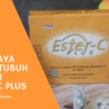 Jaga Daya Tahan Tubuh dengan Ester-C Plus
