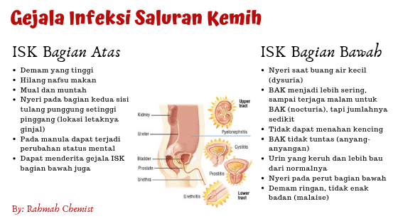 Prive Uri-cran, Solusi Bebas Infeksi Saluran Kemih 3 gejala infeksi saluran kemih