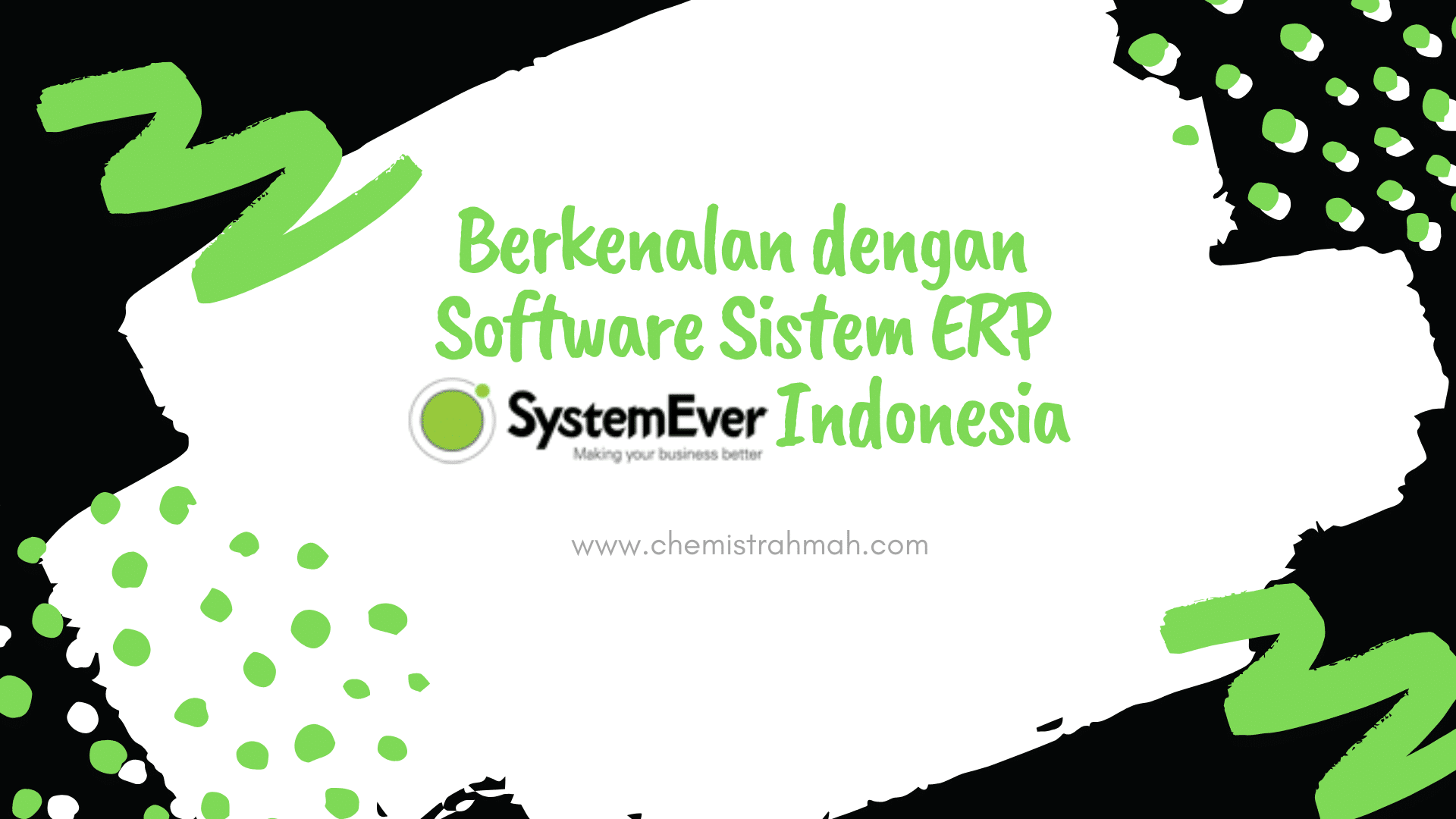 software erp systemever
