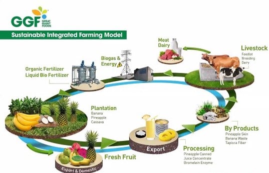 Pentingnya Optimalkan Gizi untuk Tetap Sehat di Masa Pandemi 2