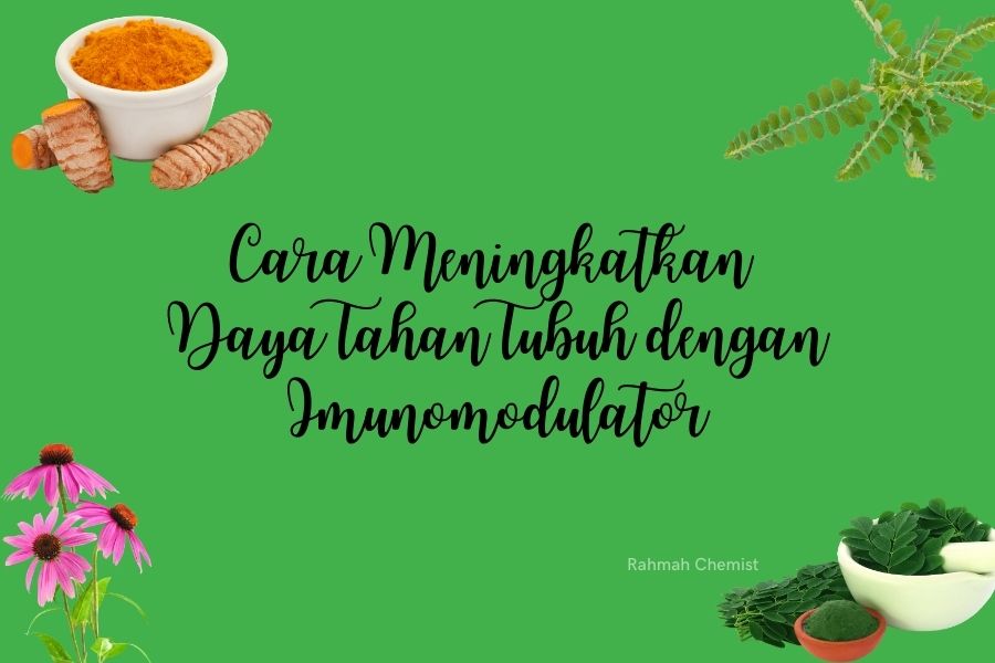 cara meningkatkan daya tahan tubuh dengan imunomodulator