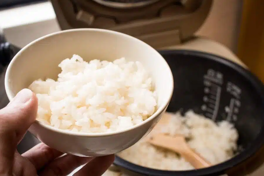 rice cooker solar panel