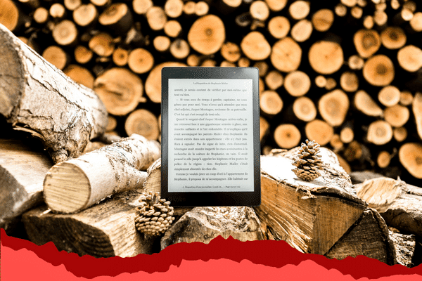 Tim Paperless, Simpan 5 Rekomendasi Situs E-book Ini! 2 ragam situs rekoemndasi e-book dengan daftar kartu kredit online