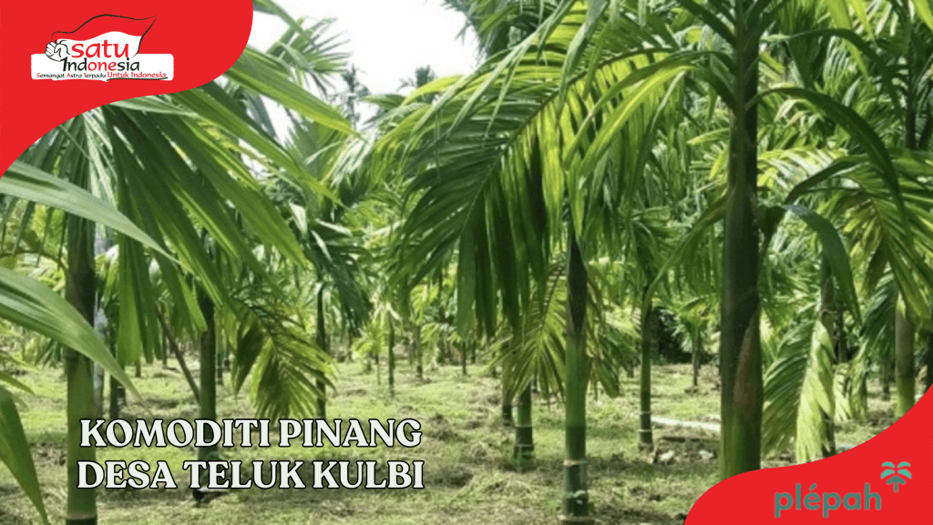 Jaga Bumi untuk Masa Mendatang dengan Pelepah Pinang ala Rengkuh Banyu 1 Desa Teluk Kulbi dengan Komoditi Pinang